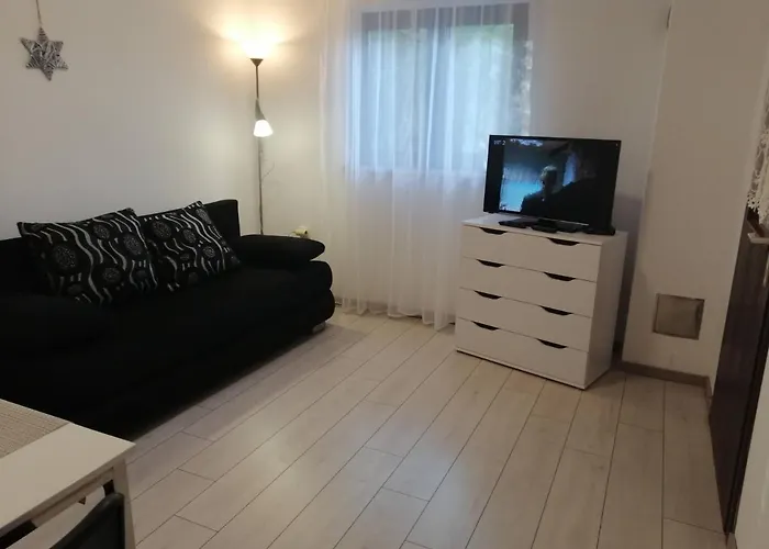 Irena Apartamento *